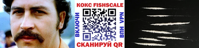 Купить закладки  Хилок  Cocaine Эквадор 