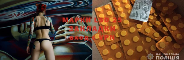 мяу мяу кристалл Няндома
