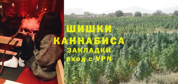мяу мяу кристалл Няндома