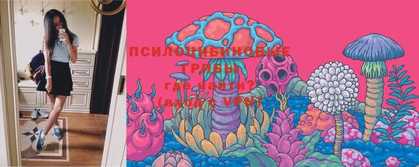 мяу мяу кристалл Няндома