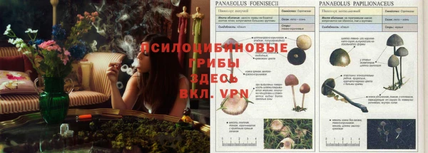 прущая мука Нягань