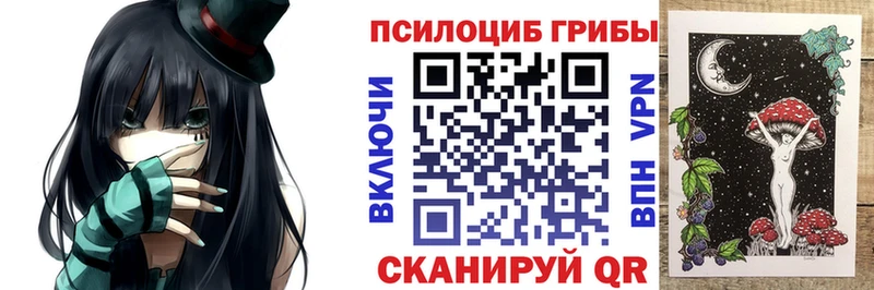 Псилоцибиновые грибы GOLDEN TEACHER  Купить закладки  Хилок 